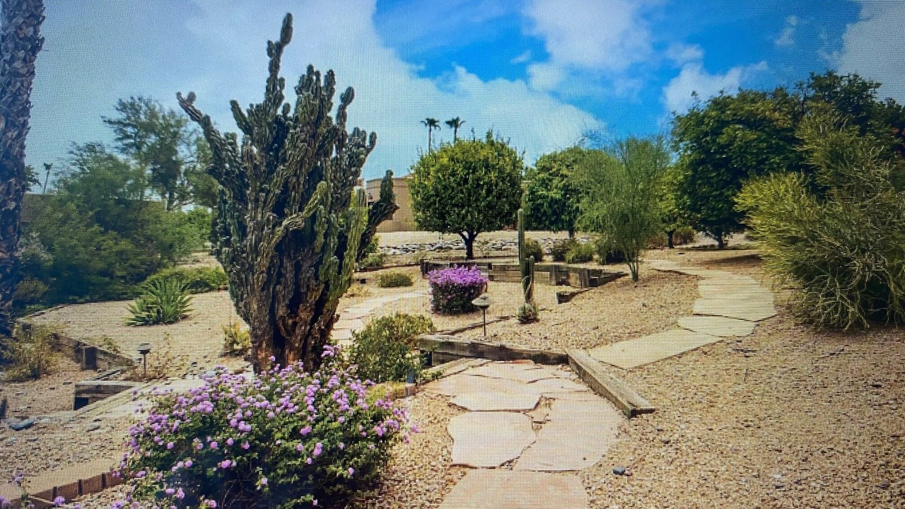 Photo of Outdoor in Rio Verde