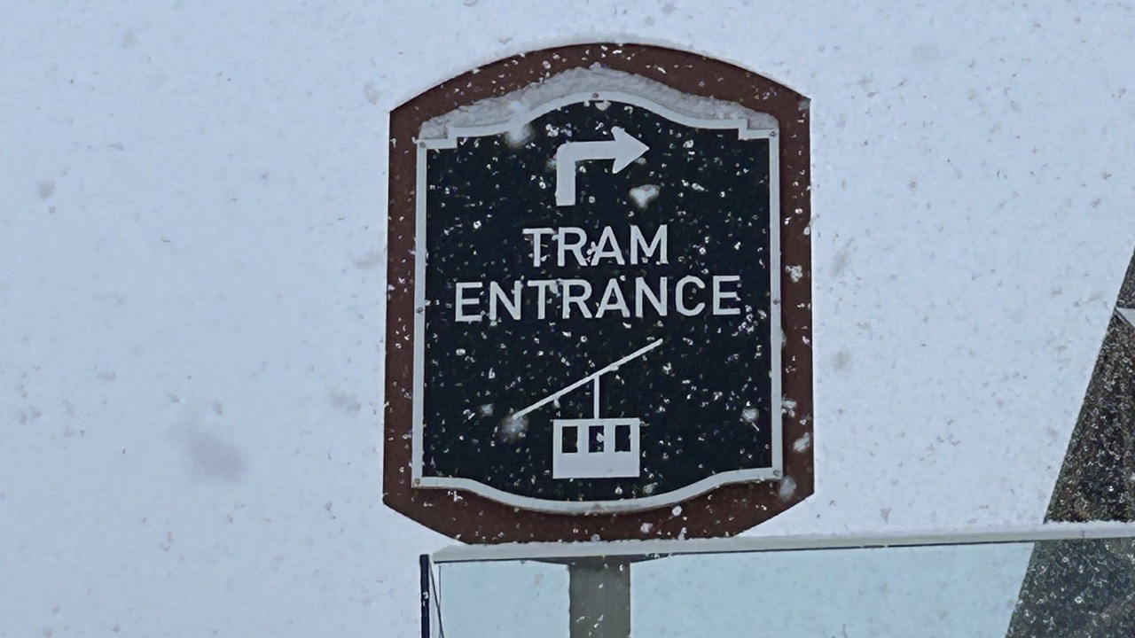 Photo of Others in North Troy