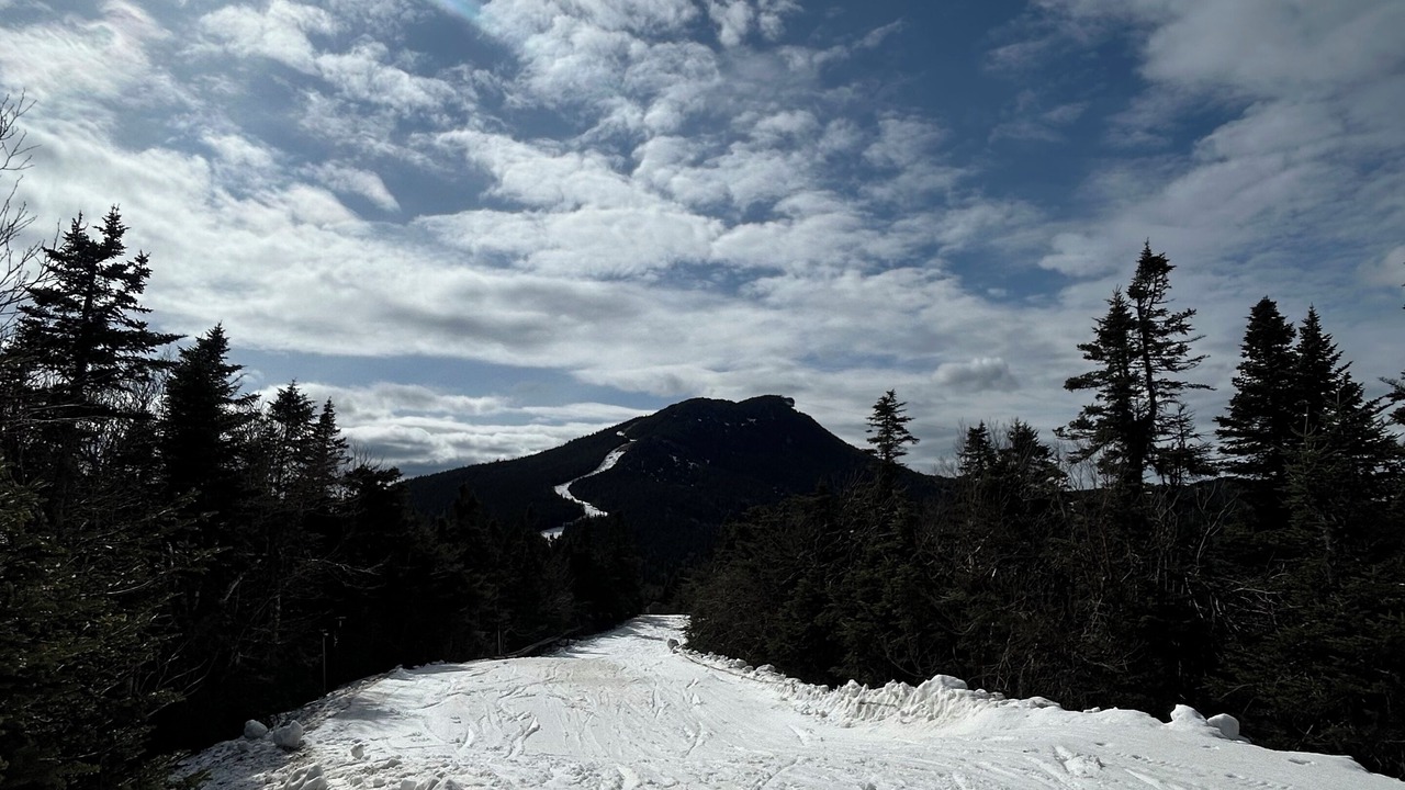 Photo of Others in North Troy