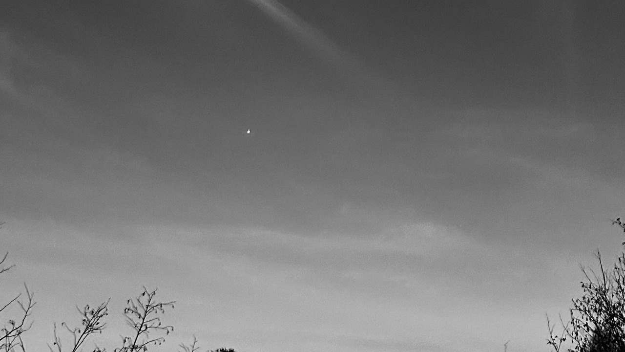 Photo of Others in North Troy