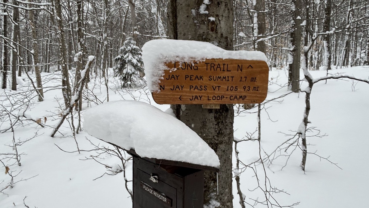 Photo of Others in North Troy