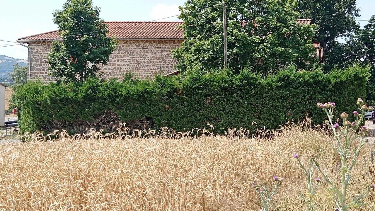 Photo of Outdoor in Saint-Romain-de-Popey