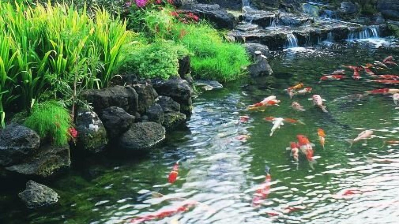 Photo of Others in Ala Moana