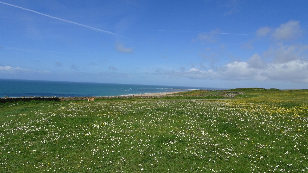 Photo of Others in Barneville-Carteret