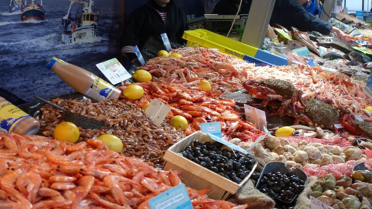 Photo of Others in Barneville-Carteret