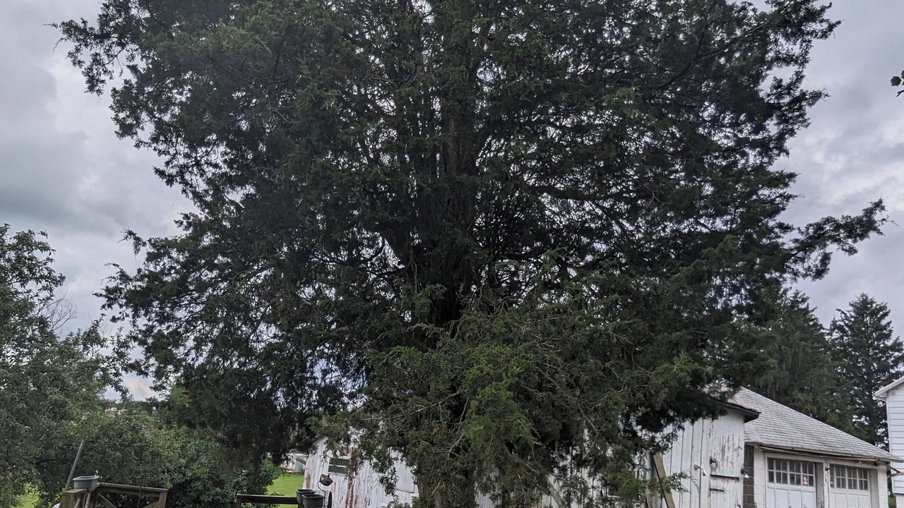 Photo of Outdoor in Valley Green