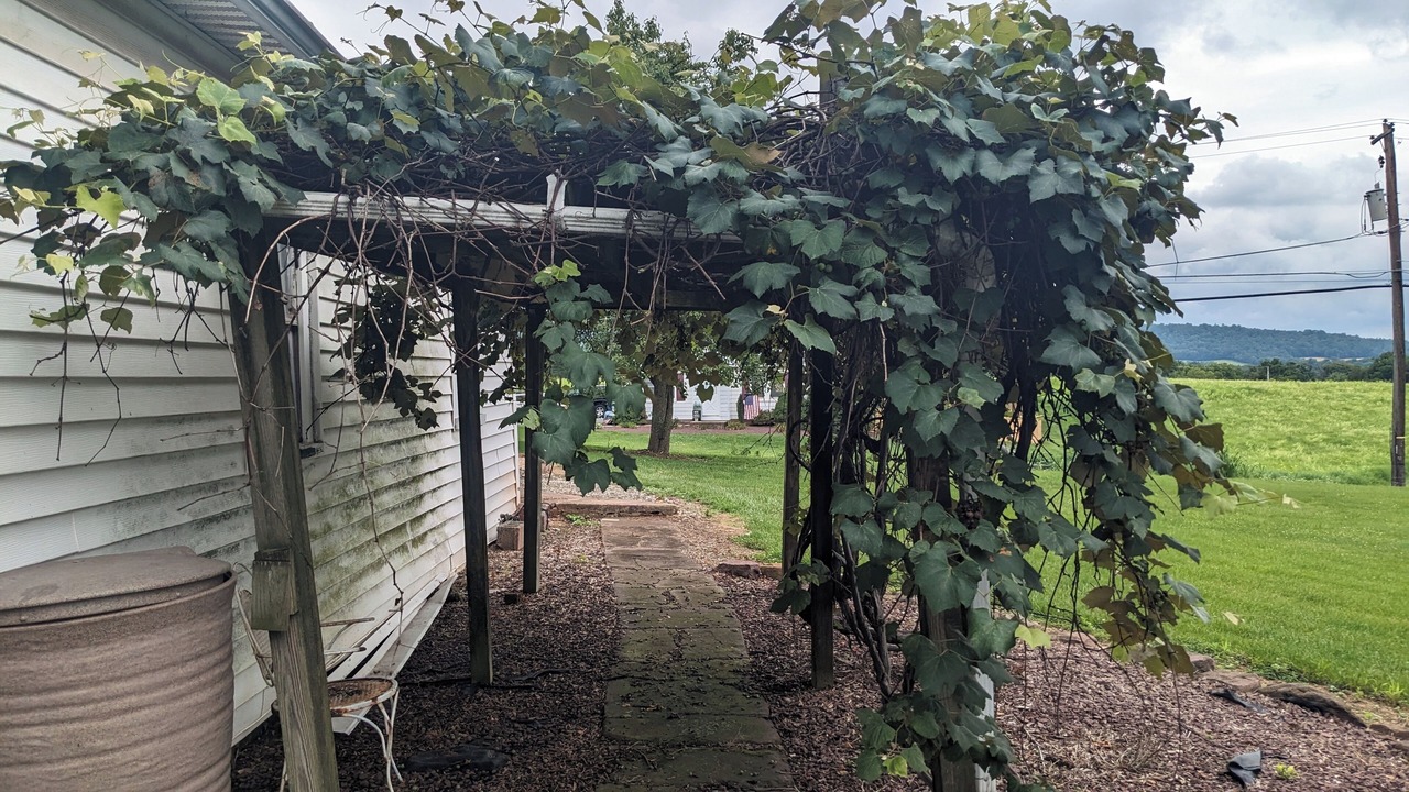 Photo of Outdoor in Valley Green