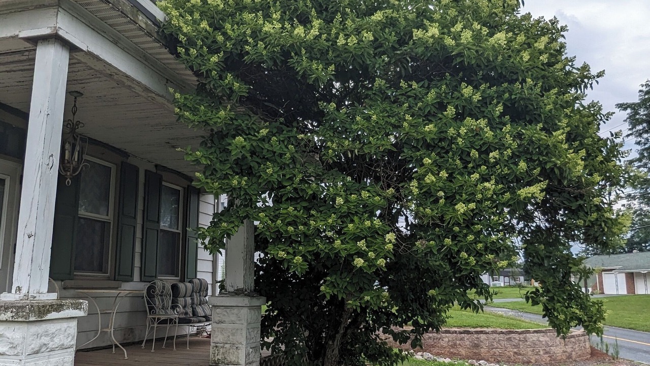 Photo of Patio Balcony in Valley Green
