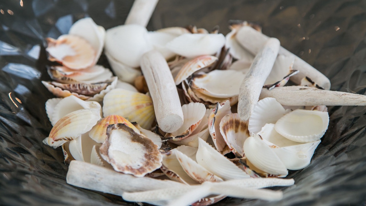 Photo of Others in Wittering