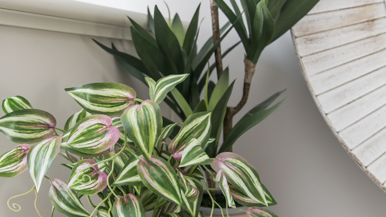 Photo of Others in Wittering