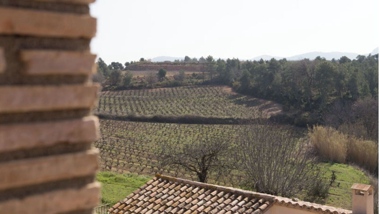Photo of Others in Aiguamurcia
