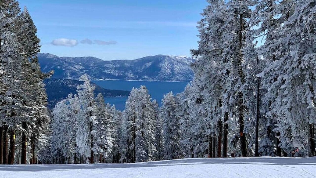 Photo of Others in Truckee