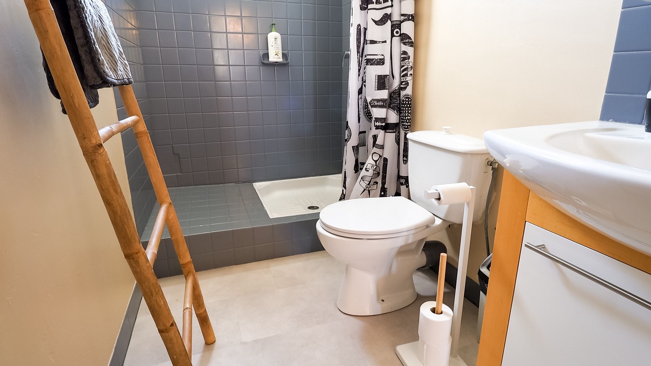 Photo of Bathroom in Romagnat