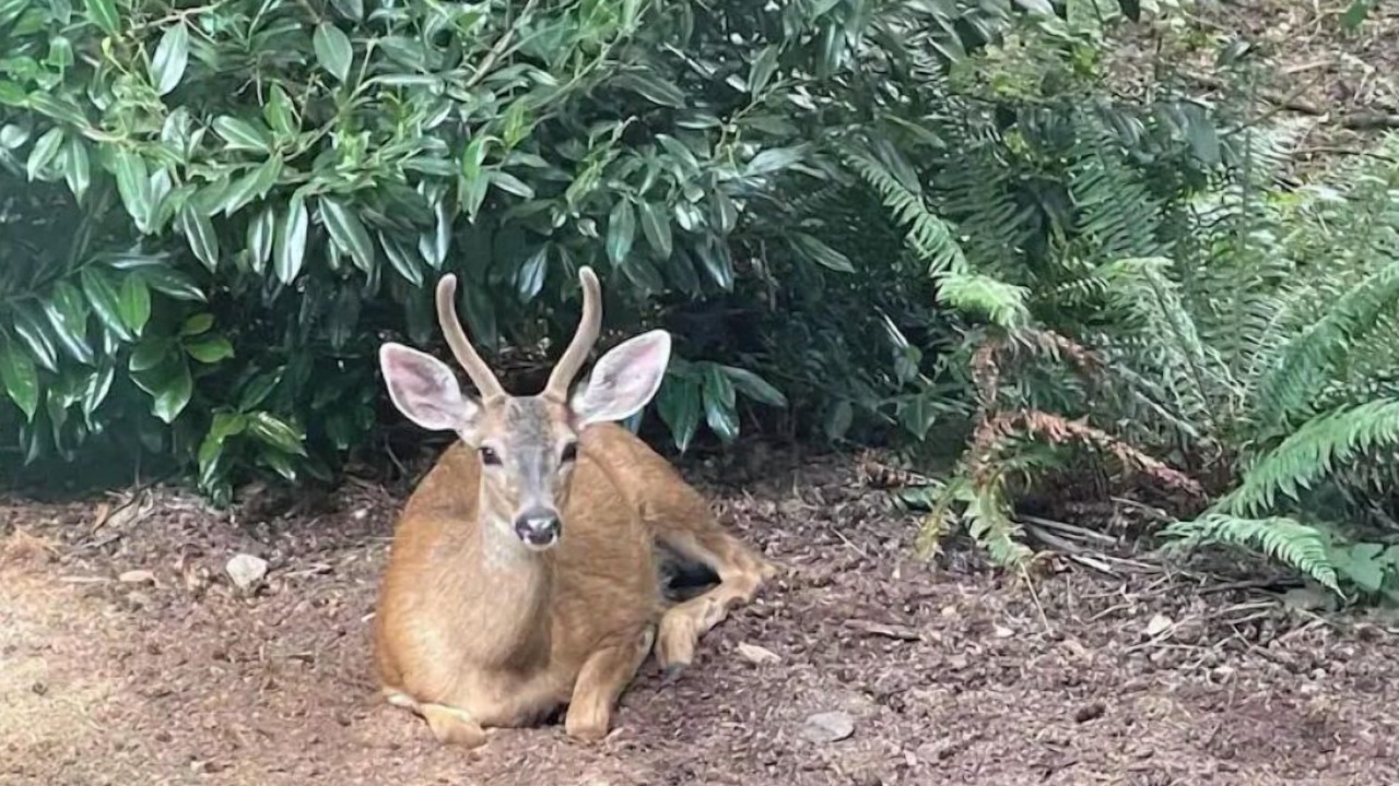 Photo of Others in Sudden Valley