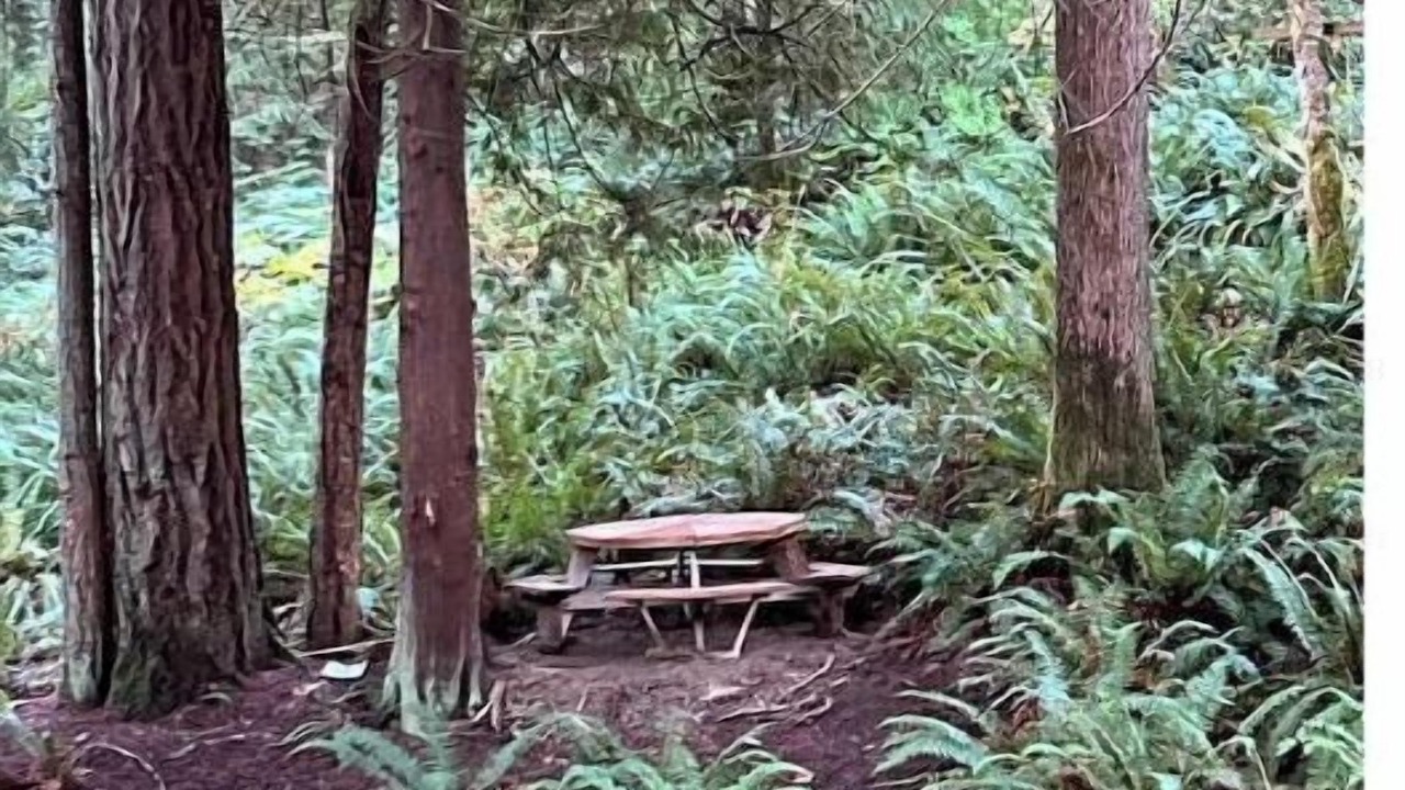 Photo of Others in Sudden Valley