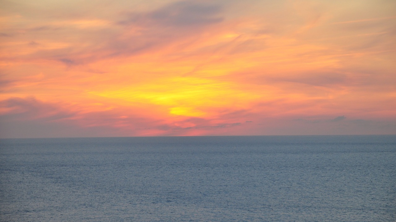 Photo of Others in Newquay City Centre