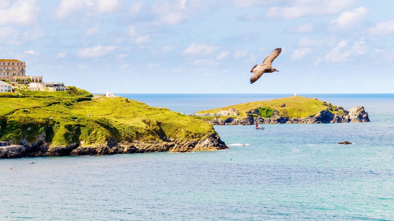 Photo of Others in Newquay City Centre