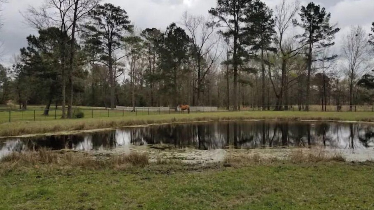 Photo of Outdoor in Pennington