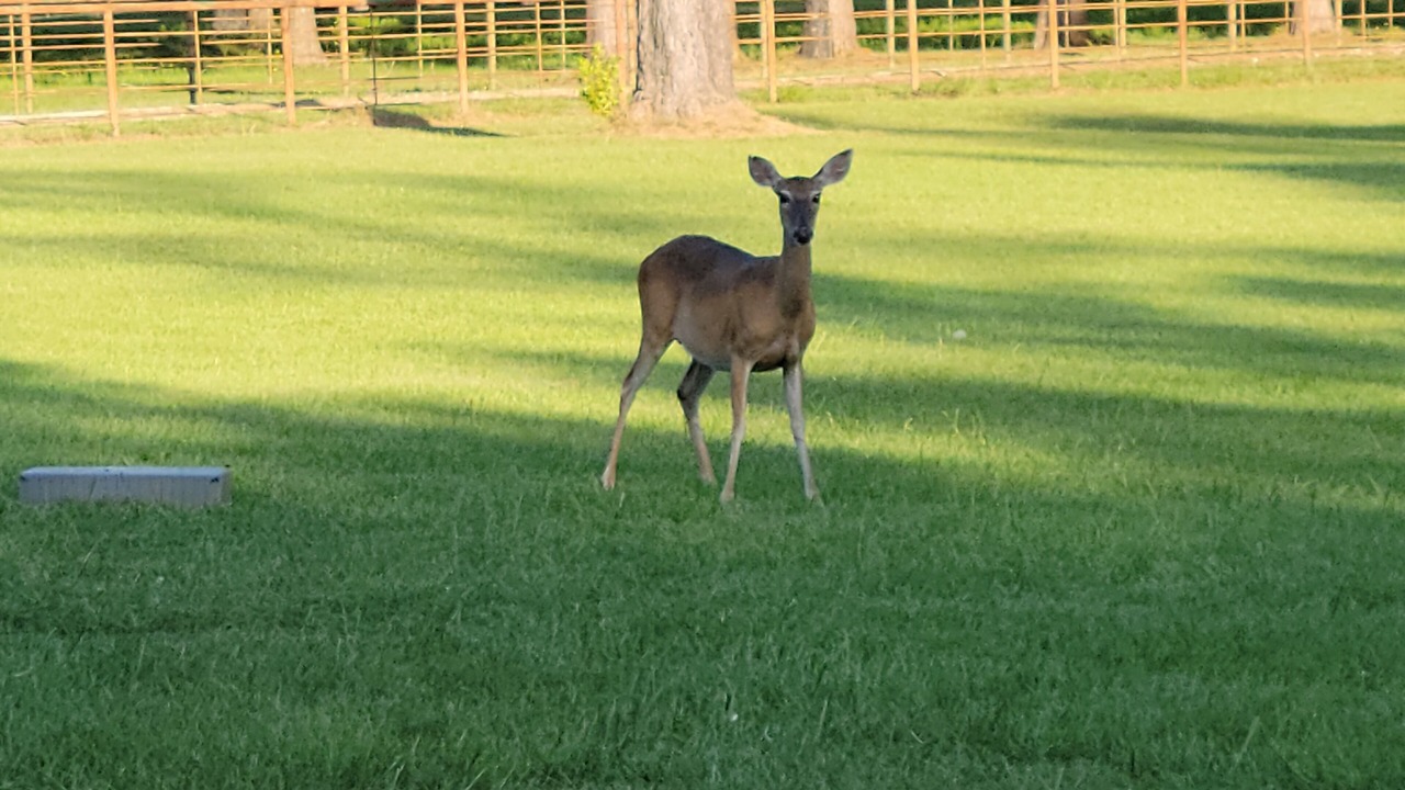 Photo of Others in Pennington