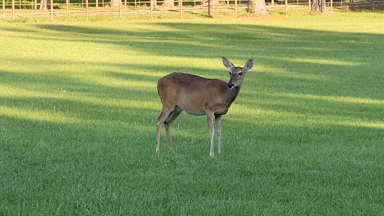 Photo of Others in Pennington