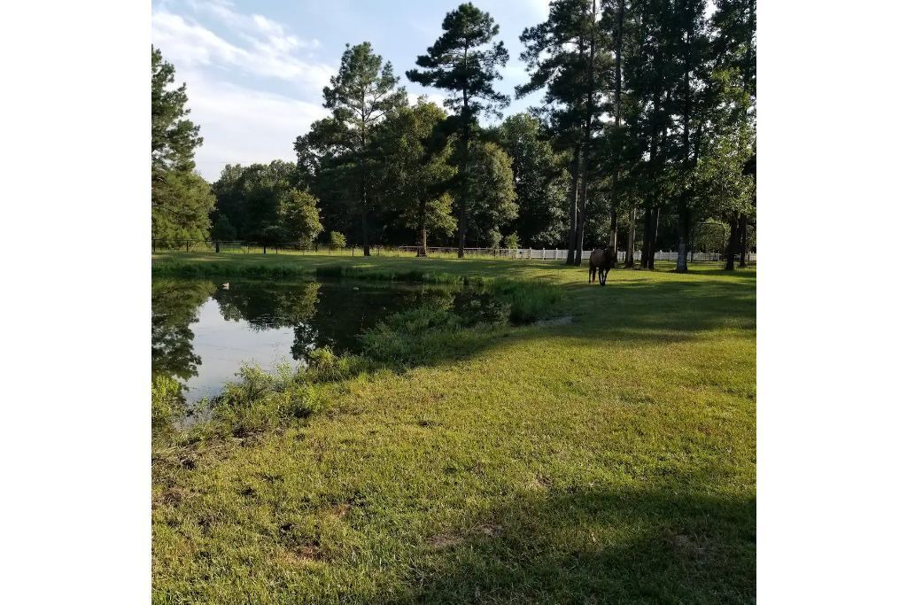 Photo of Outdoor in Pennington
