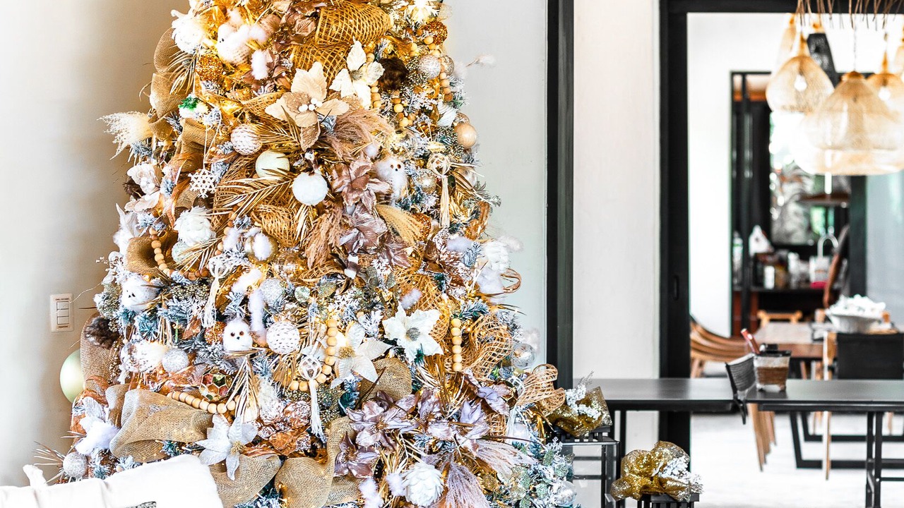 Photo of Livingroom in Abreu