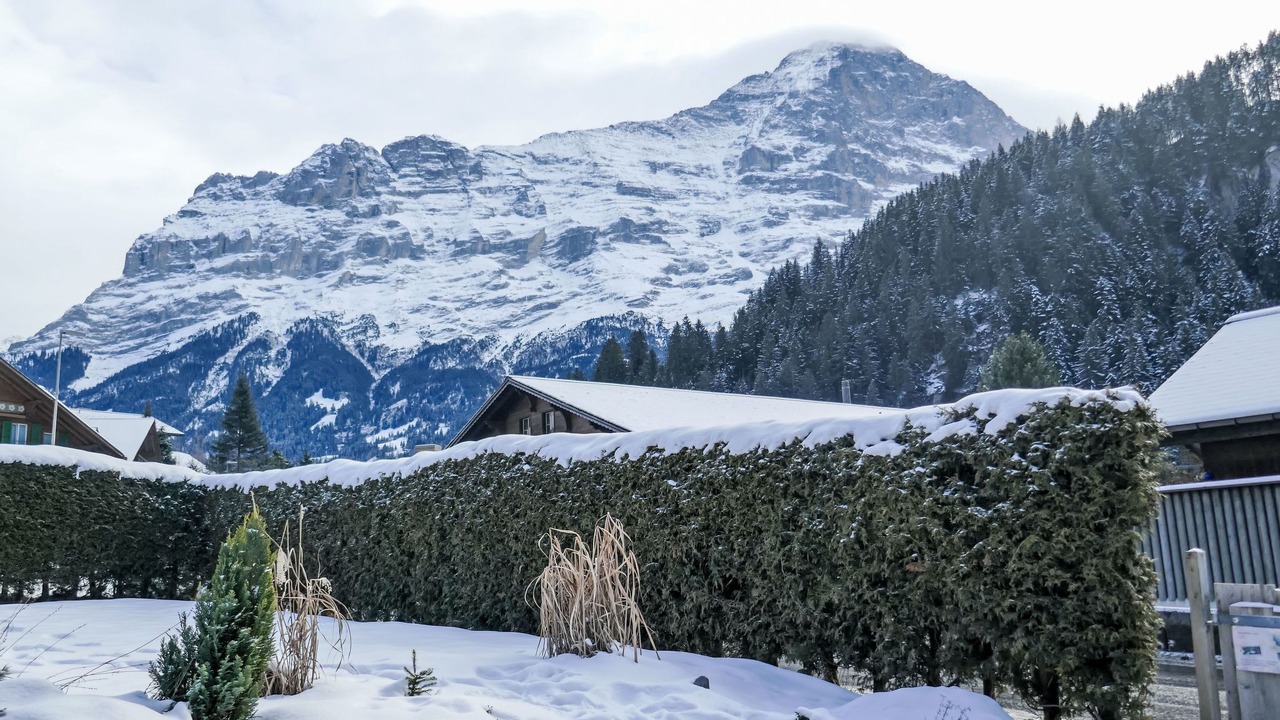 Photo of Others in Grindelwald