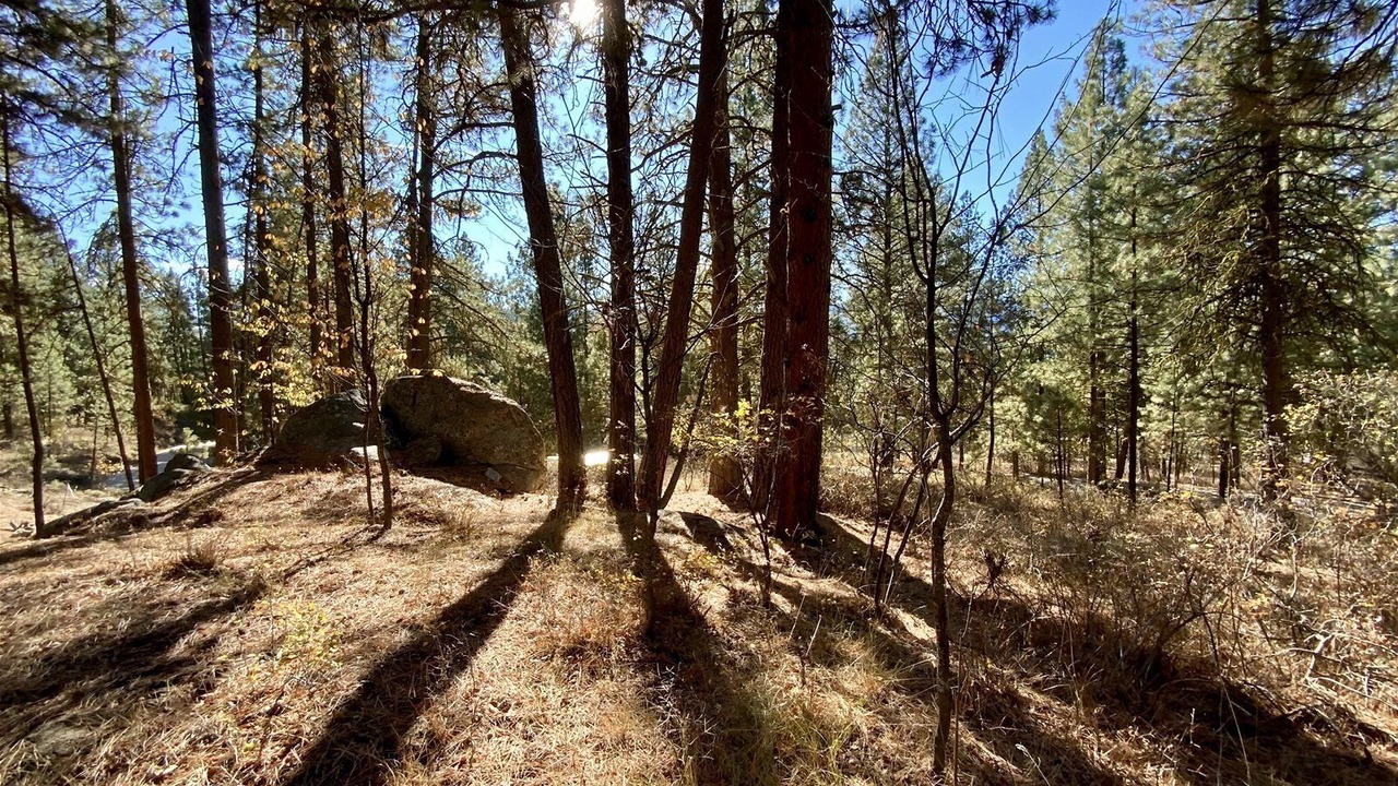 Photo of Others in Cascade