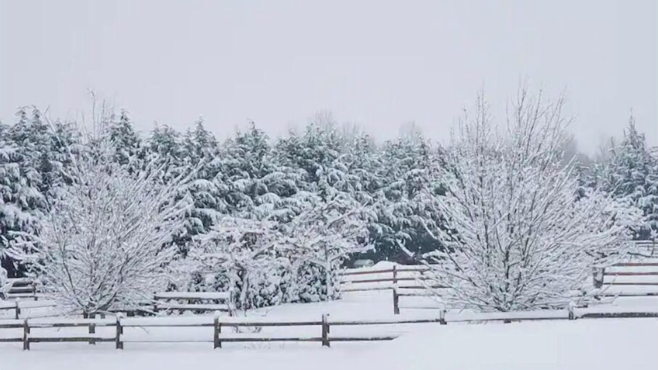 Photo of Others in Sequim