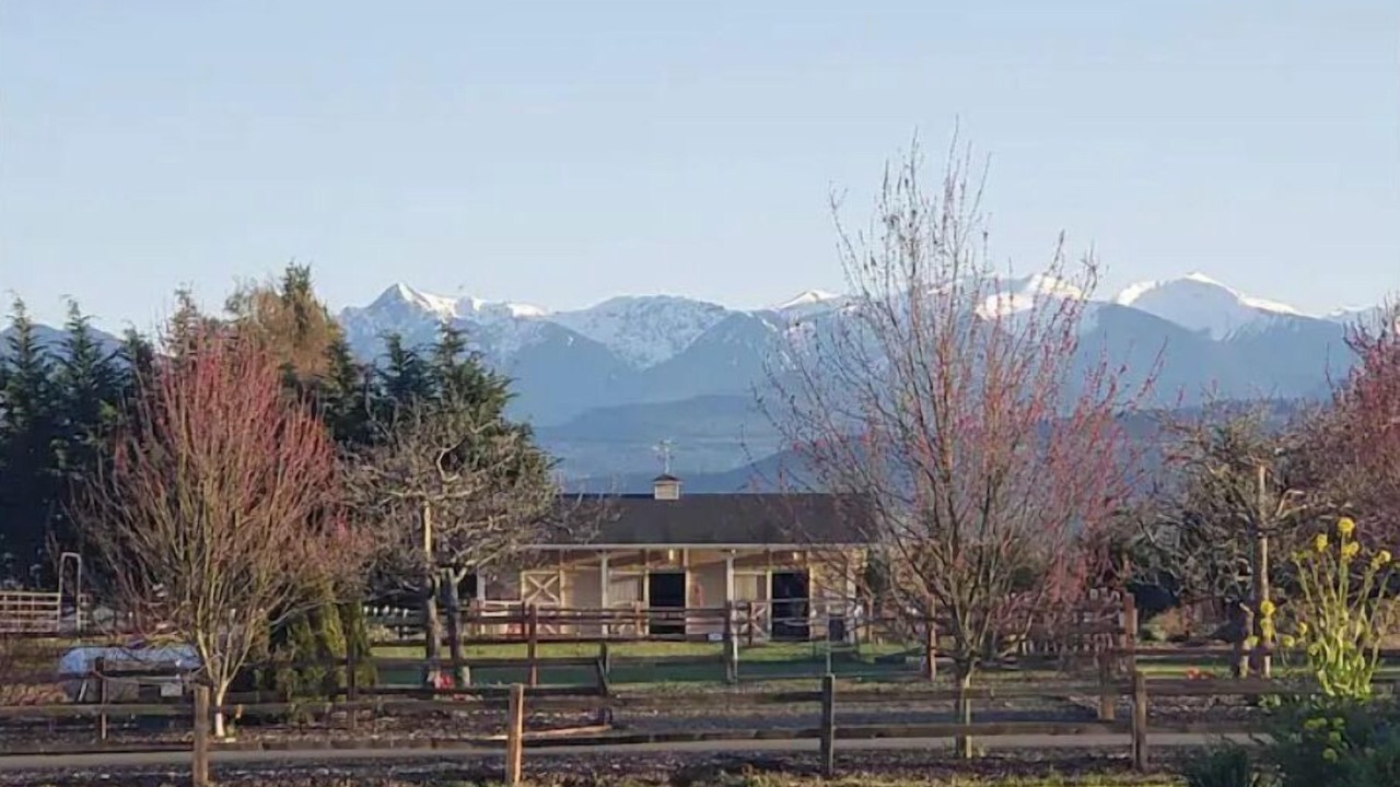 Photo of Outdoor in Sequim