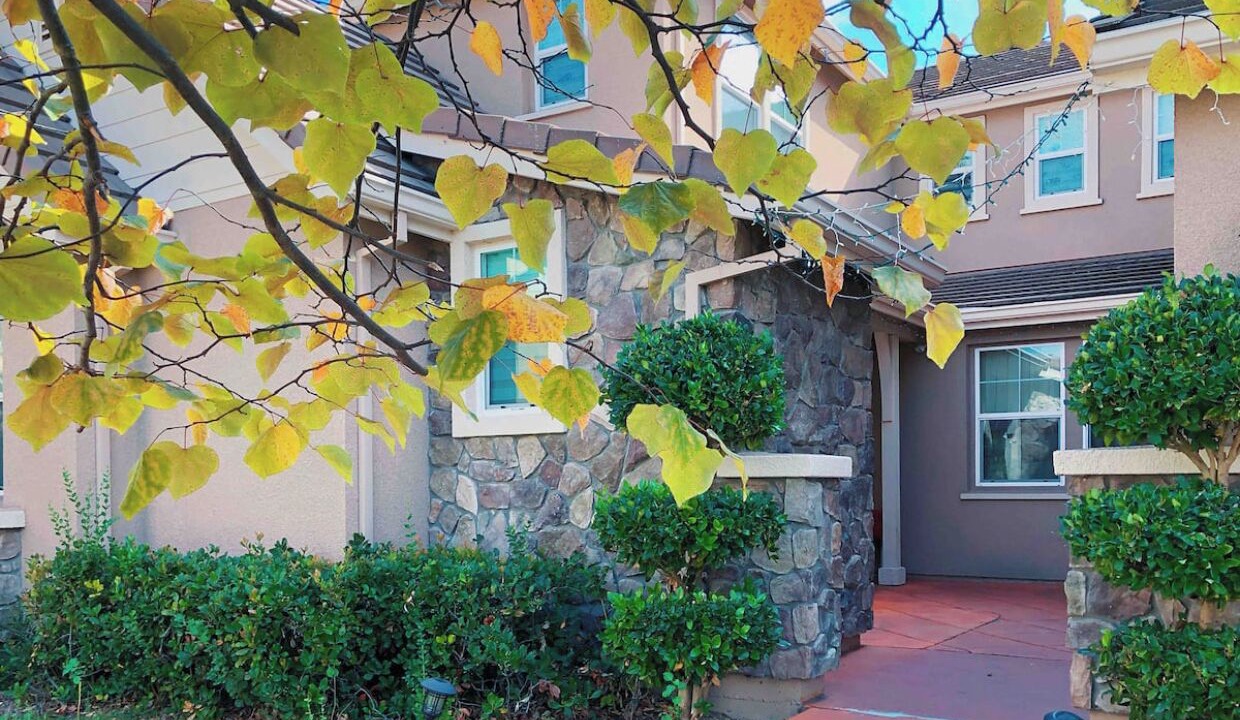 Photo of Outdoor in San Ramon