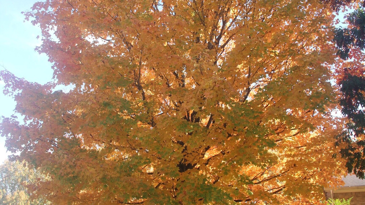 Photo of Outdoor in Cleveland