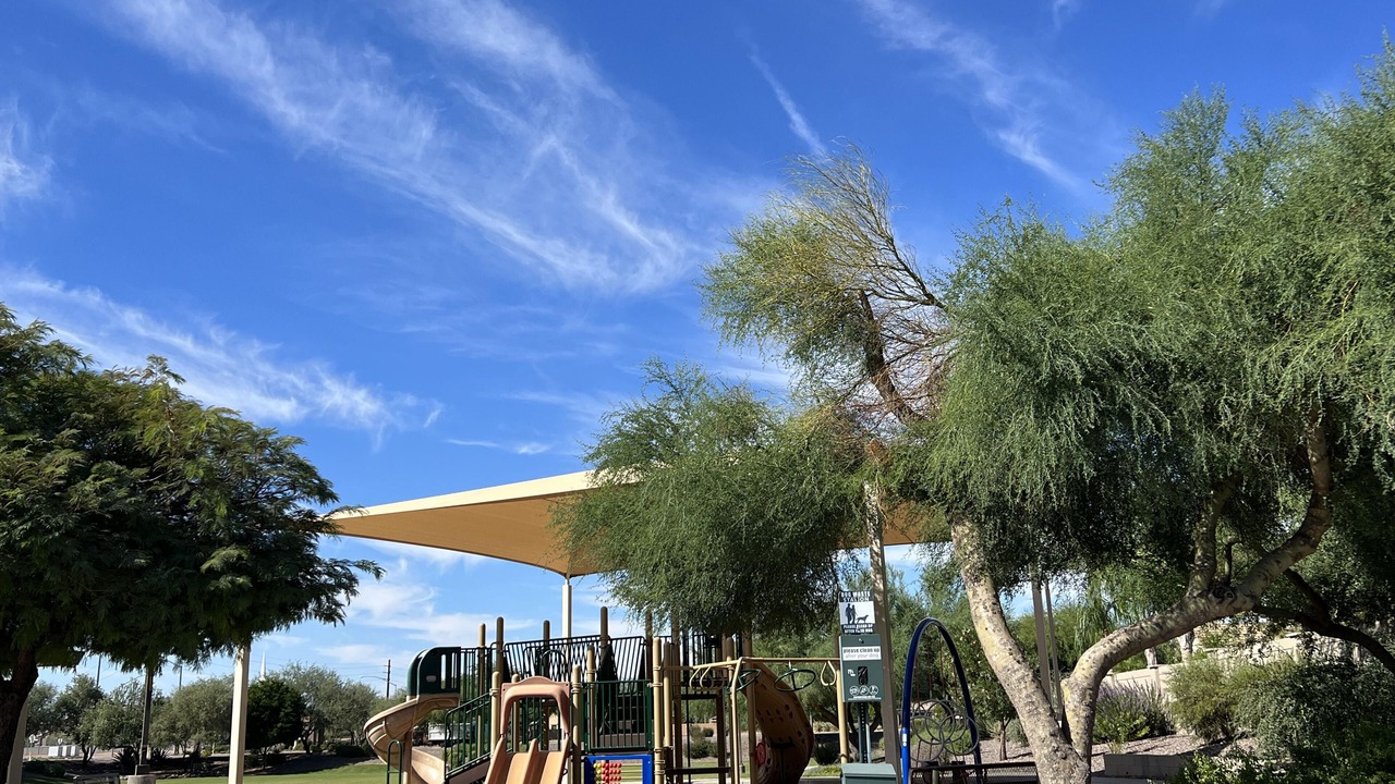 Photo of Others in Mesa