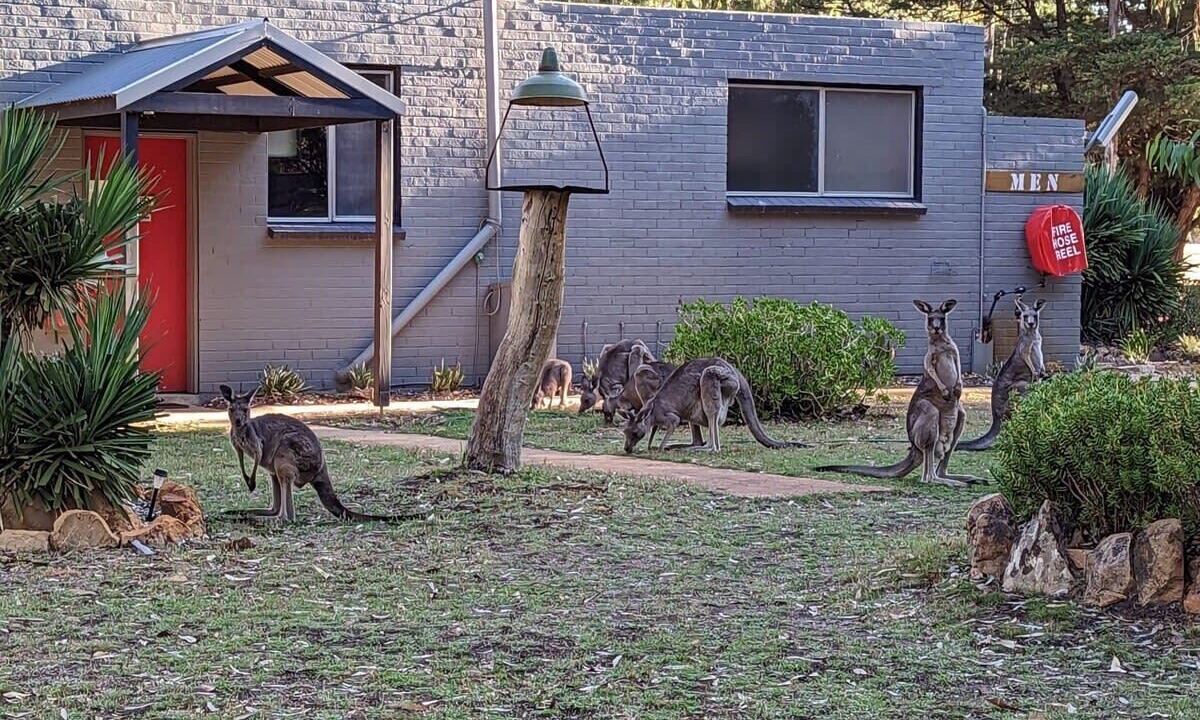 Photo of Others in Dadswells Bridge