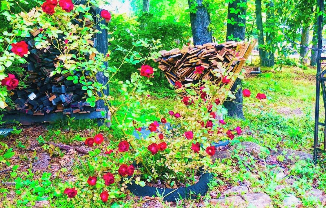 Photo of Outdoor in Conyers