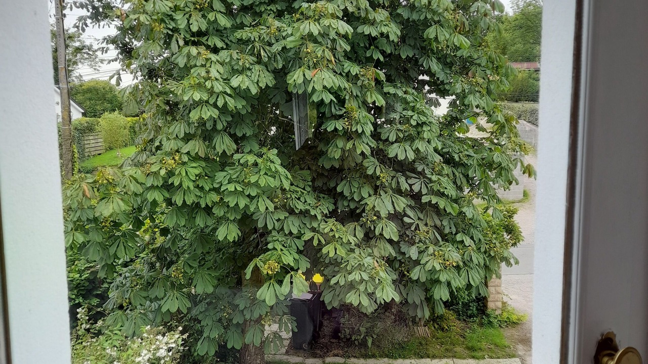 Photo of Others in Audembert