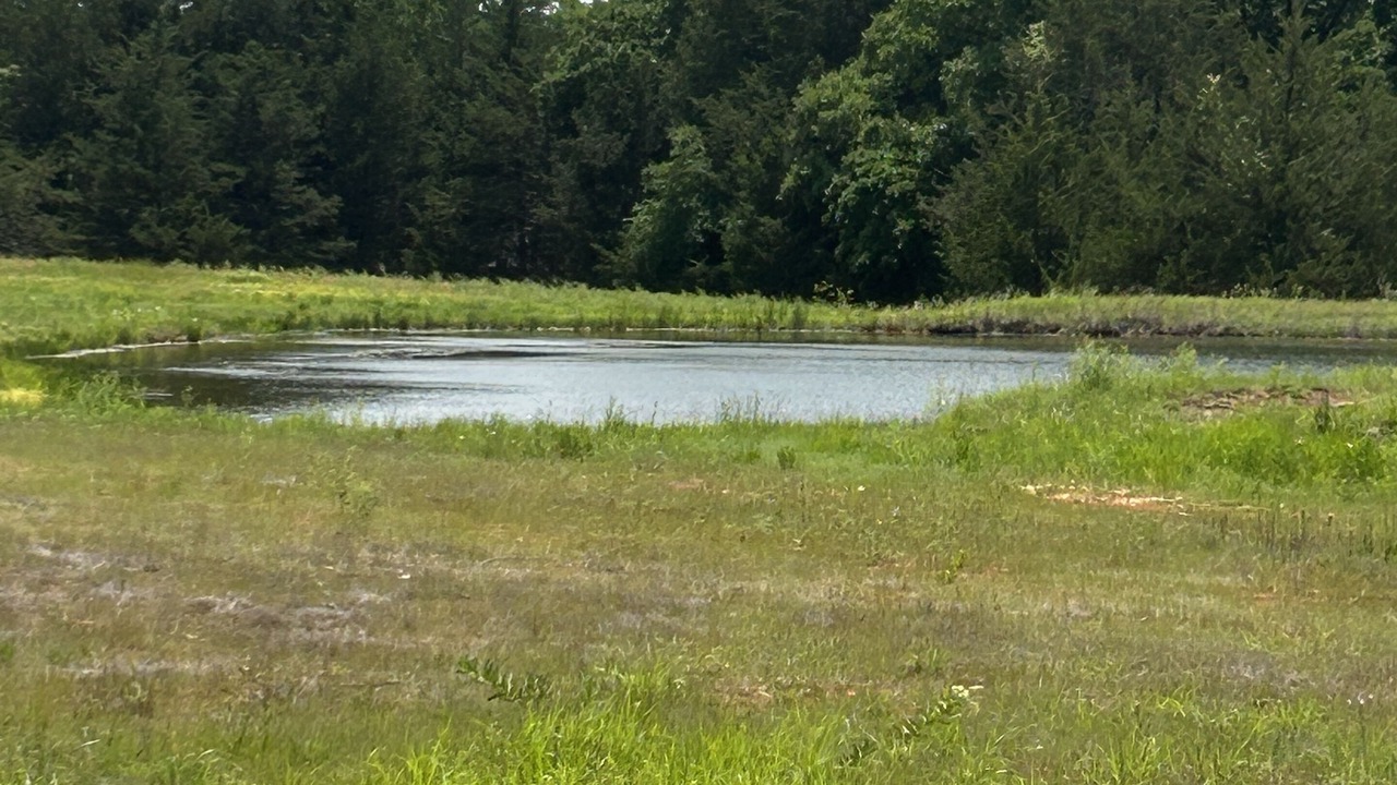 Photo of Outdoor in Gober