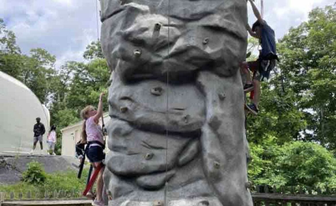 Photo of Others in Treeloft