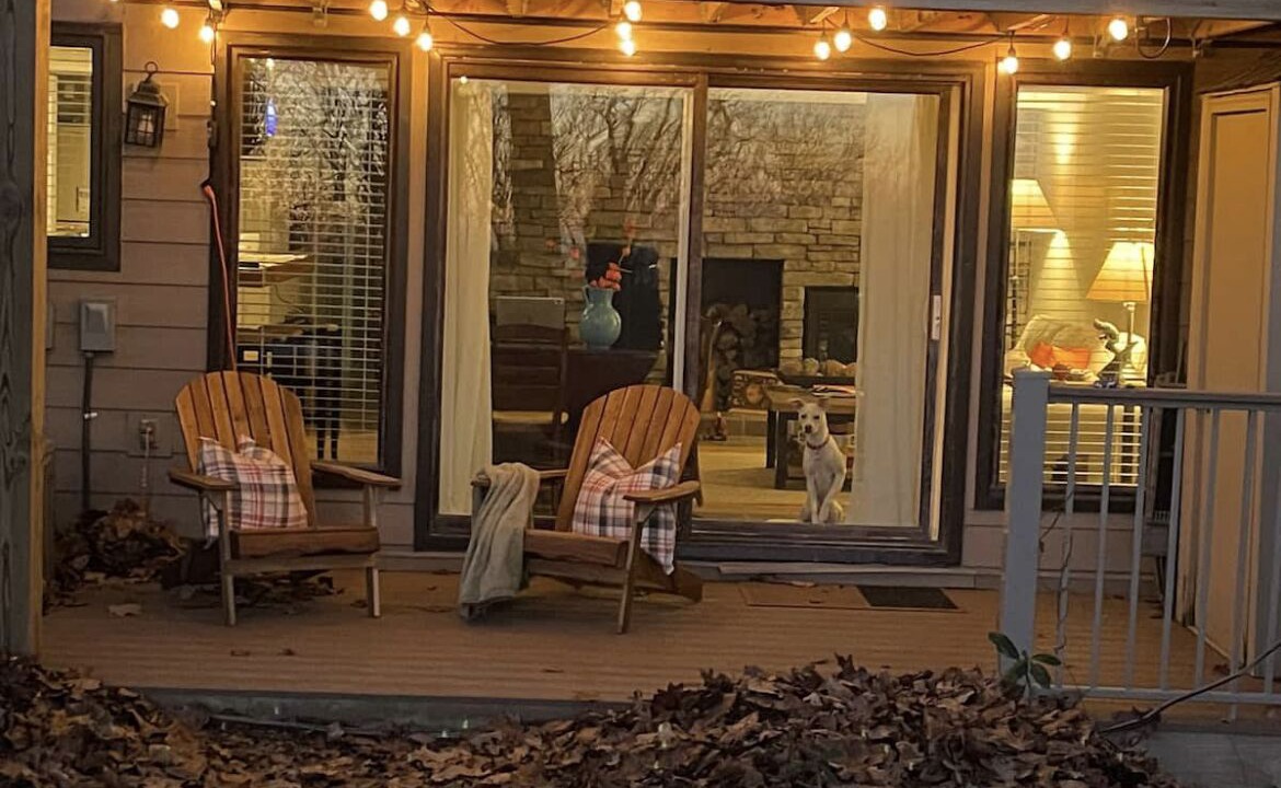 Photo of Patio Balcony in Treeloft