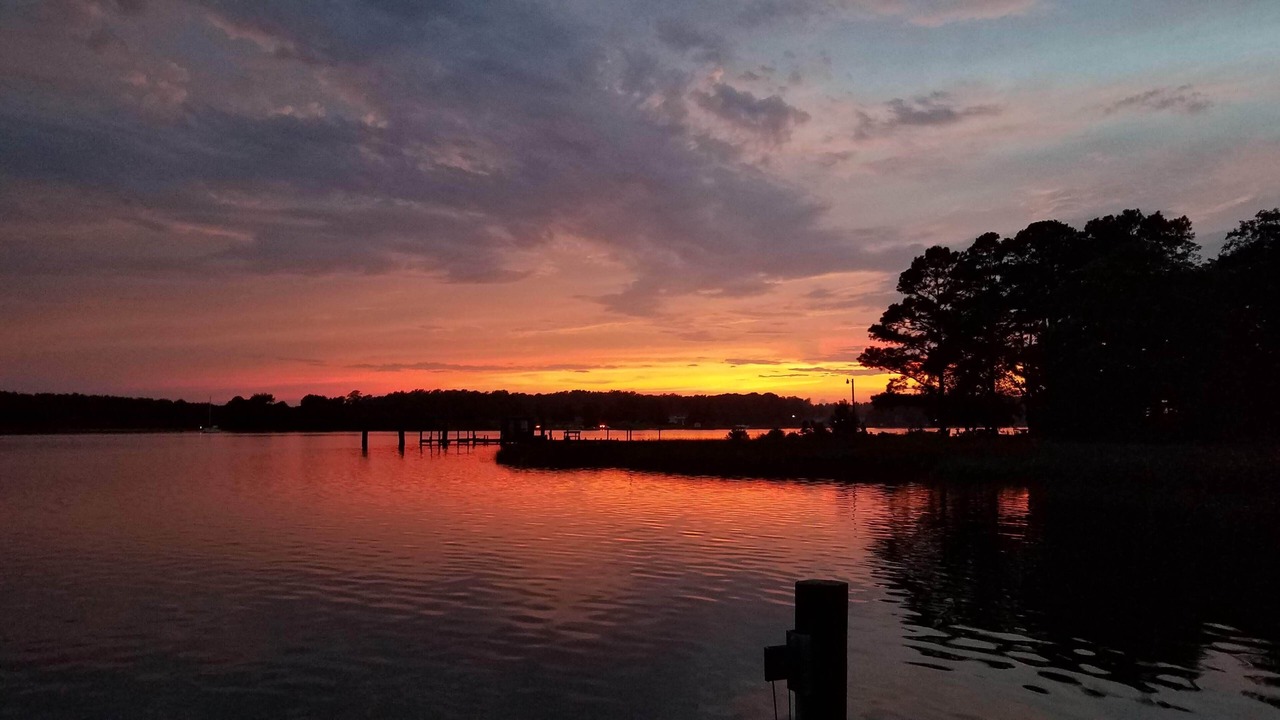 Photo of Others in Ware