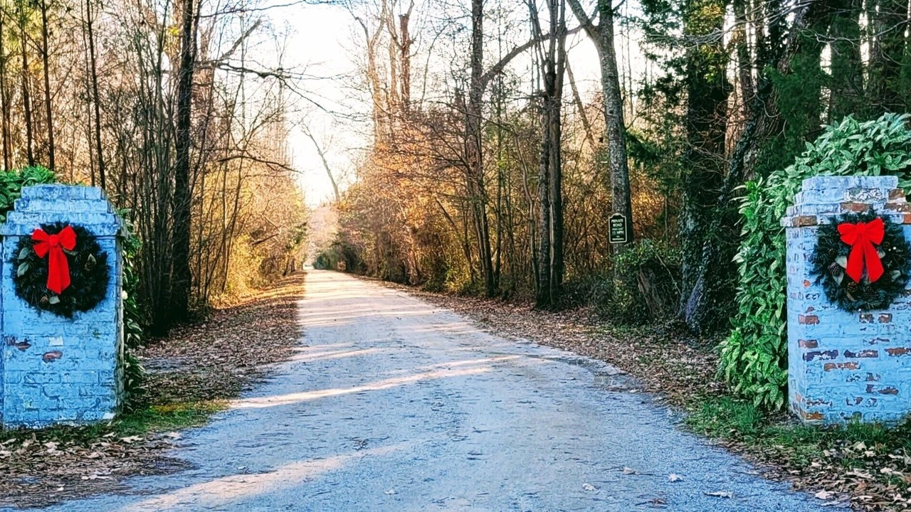 Photo of Others in Ware