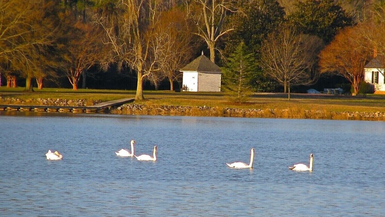 Photo of Others in Ware