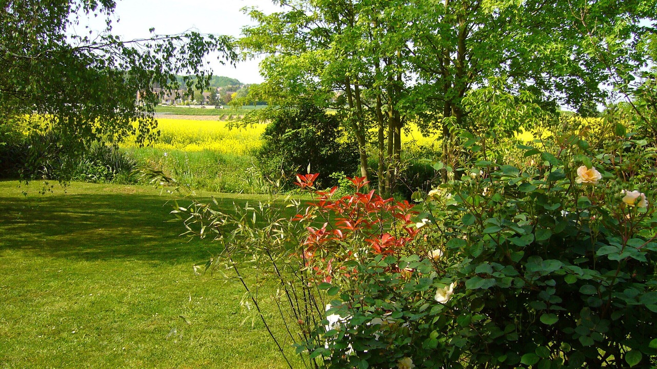 Photo of Outdoor in Orgeval