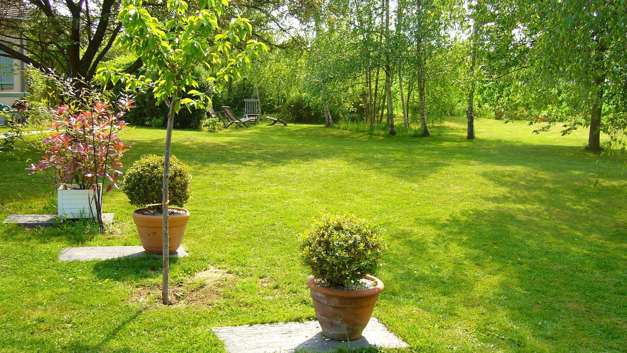 Photo of Outdoor in Orgeval