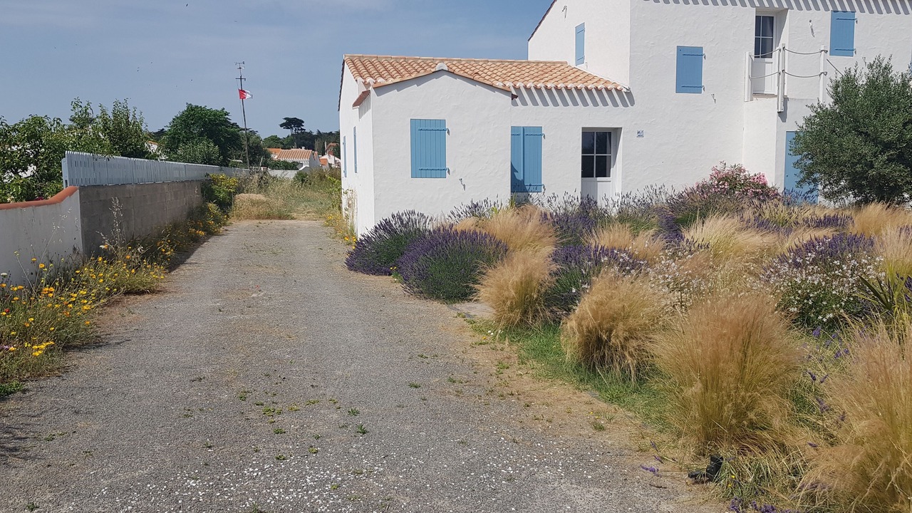 Photo of Outdoor in Barbatre