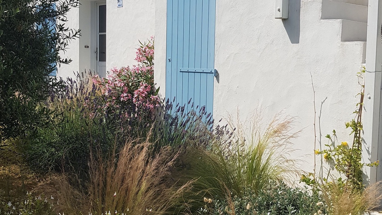 Photo of Outdoor in Barbatre