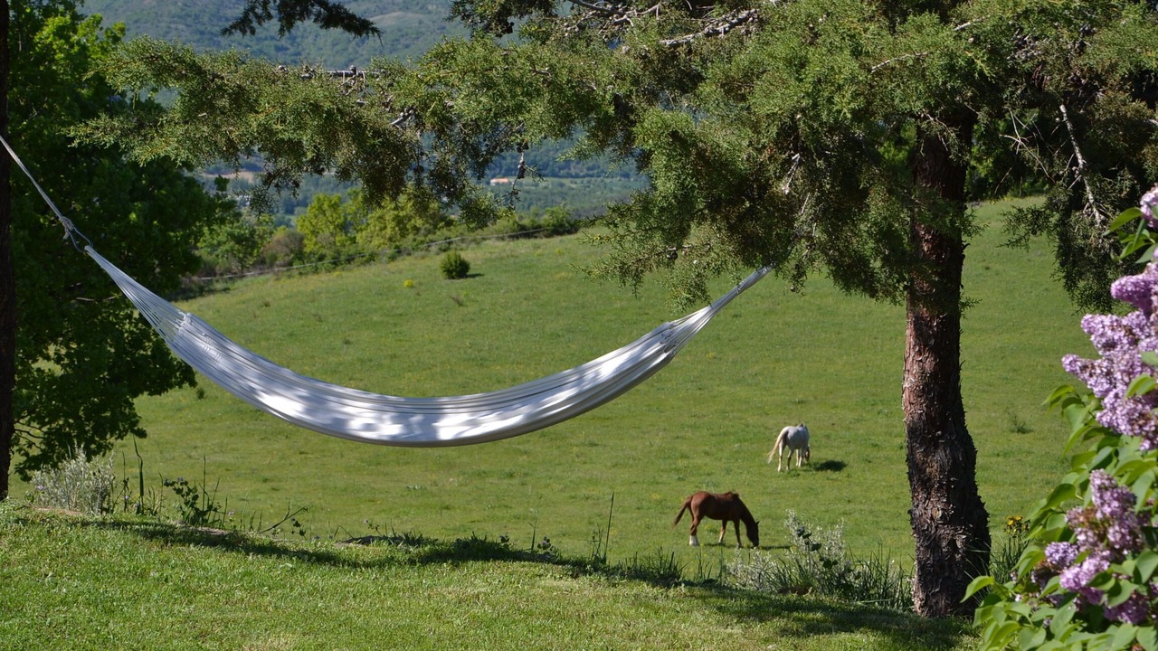 Photo of Outdoor in Aiglun