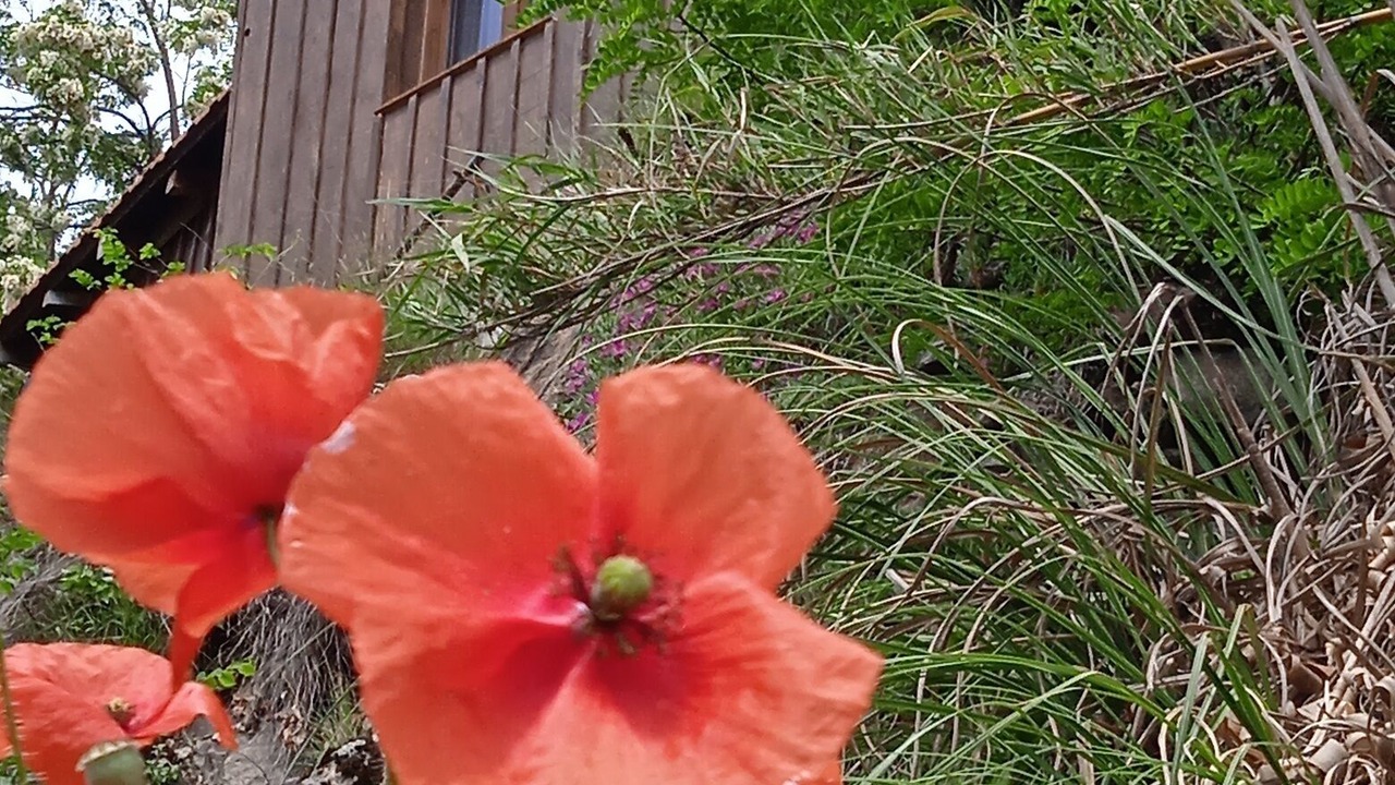 Photo of Outdoor in Arignac