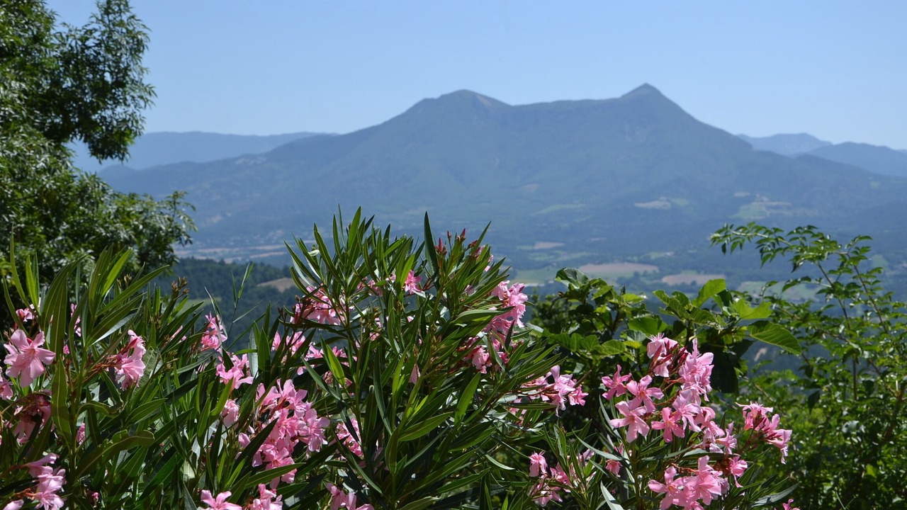 Photo of Outdoor in Aiglun