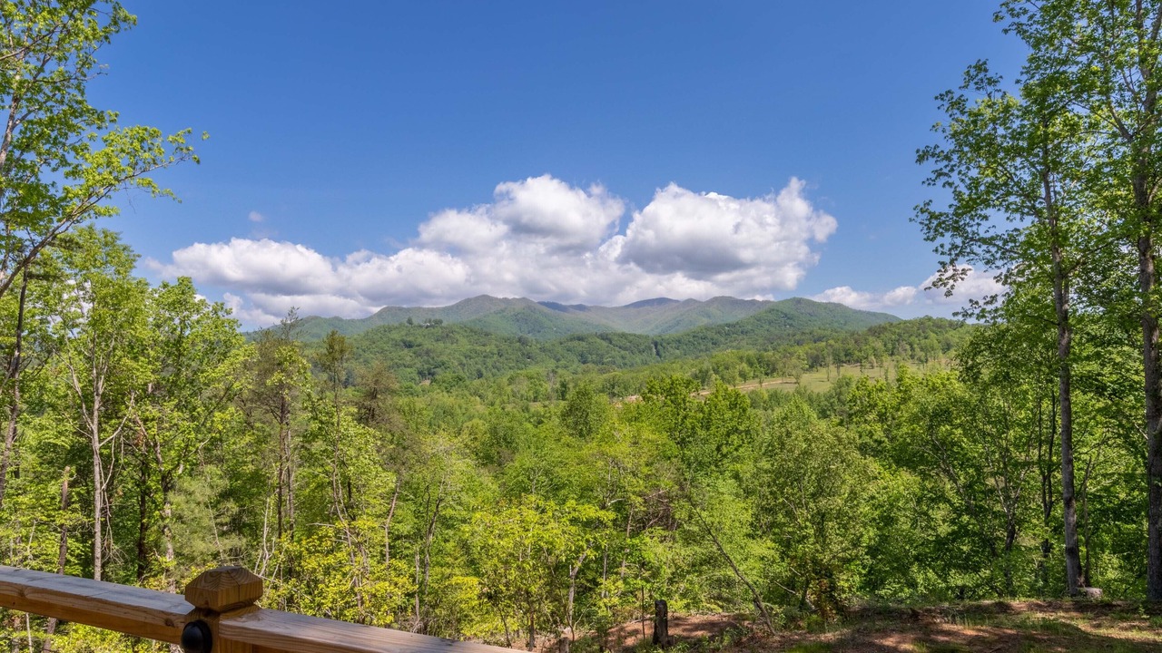 Photo of Others in Bryson City